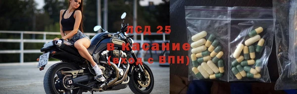 мяу мяу мука Алзамай