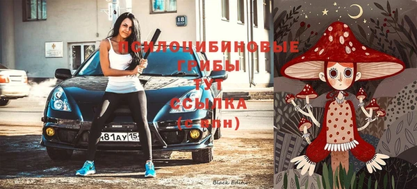 крисы Алексеевка