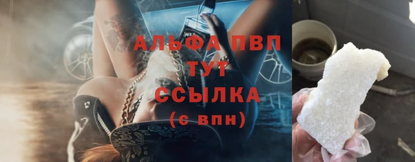 прущие грибы Наволоки