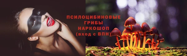 мяу мяу мука Алзамай