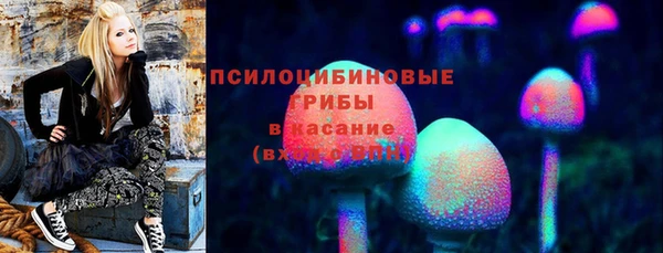 спайс Абаза