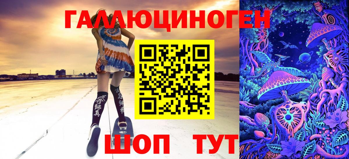 Шадринск  Галлюциногенные грибы Psilocybine cubensis  Вход с VPN 