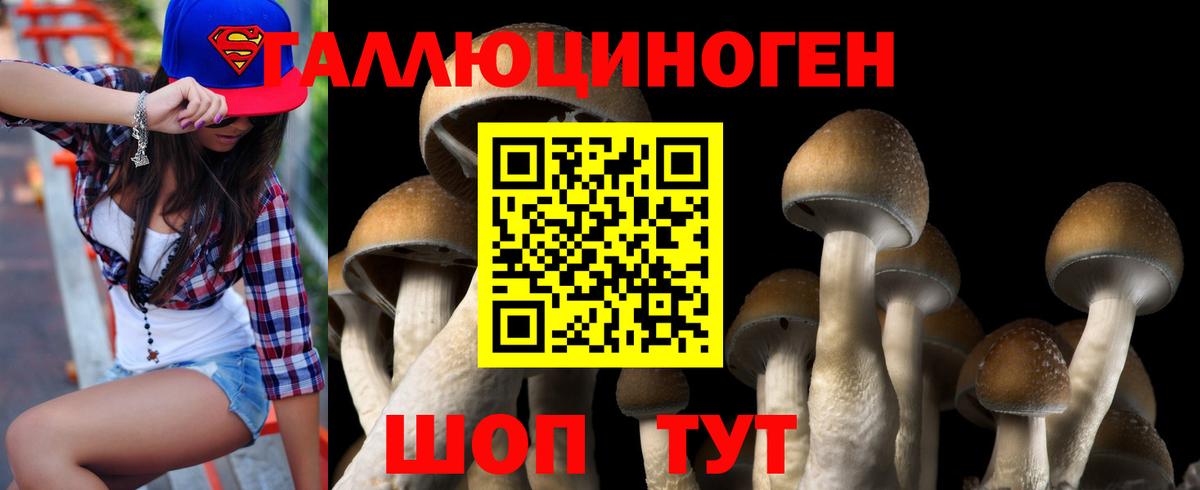 Конопля Шадринск