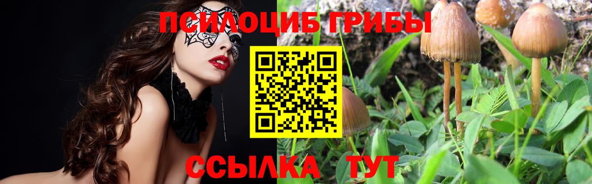 Галлюциногенные грибы прущие грибы Шадринск