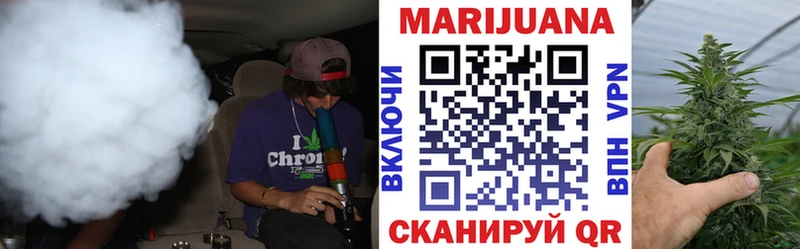 где найти   Шадринск  МАРИХУАНА семена 